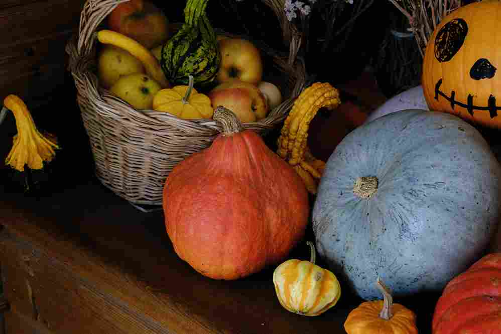Autumn Harvest Still Life Autumn Harvest Still Life