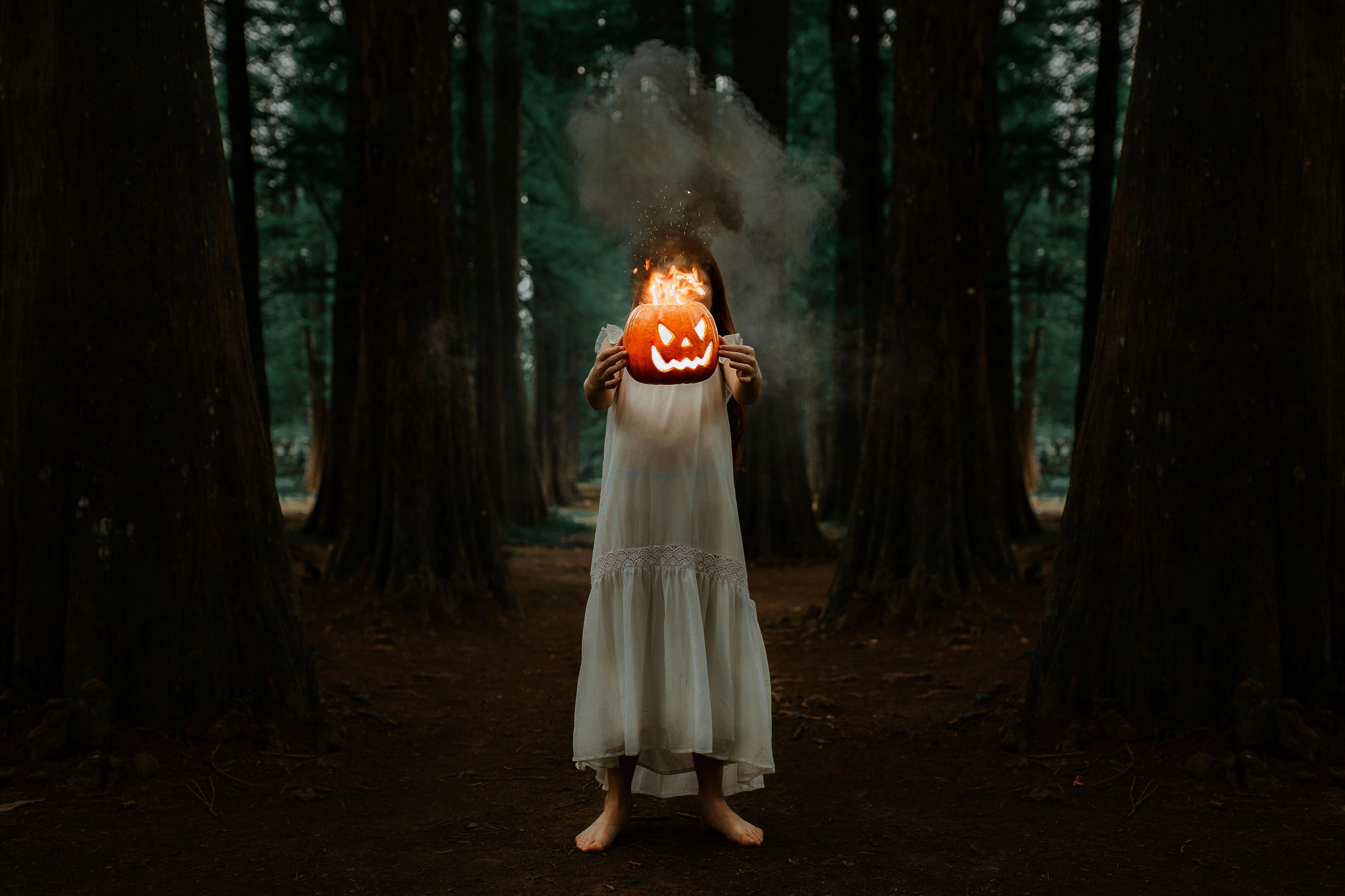 Eerie Halloween Forest Scene