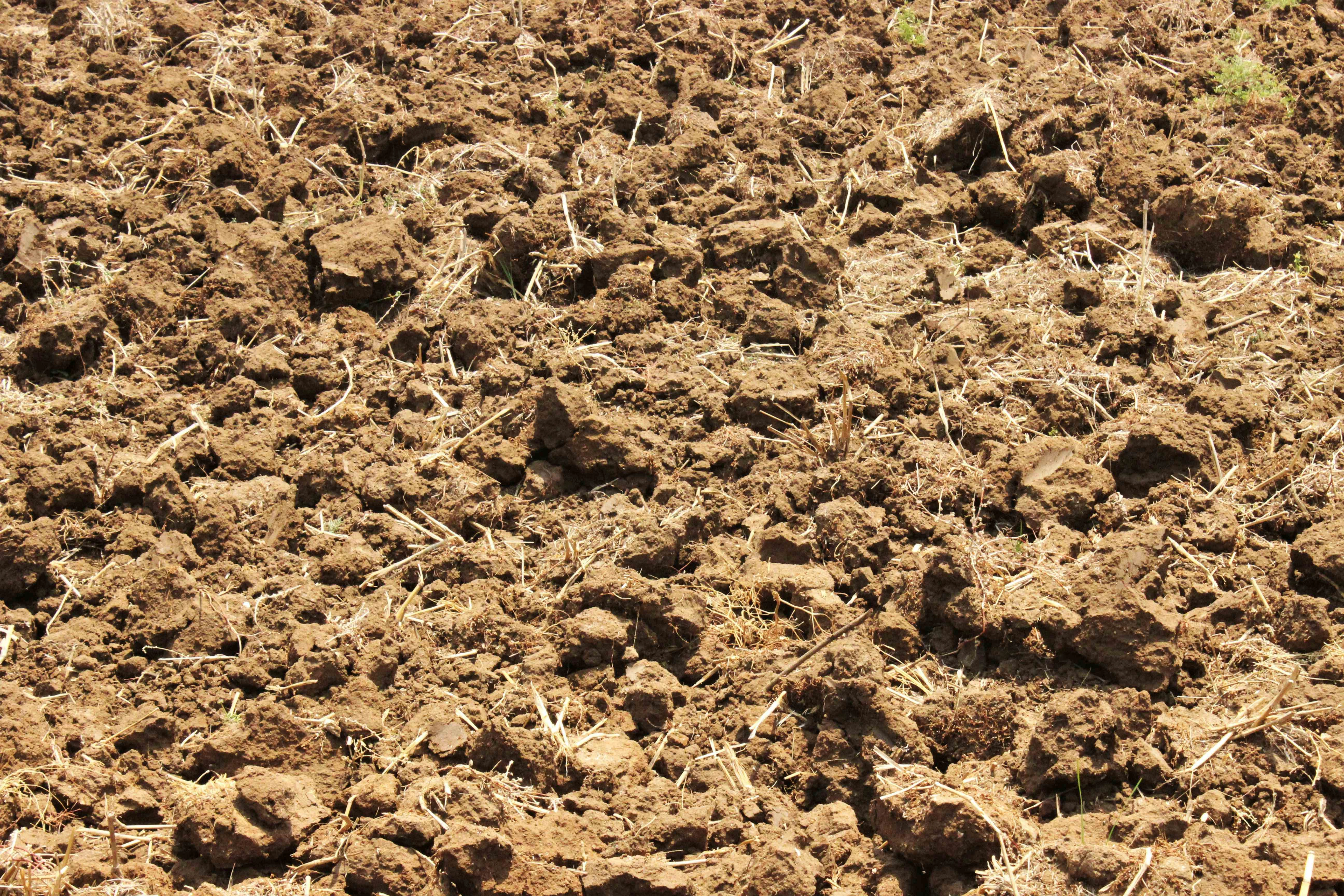 Freshly Tilled Agricultural Soil Freshly Tilled Agricultural Soil