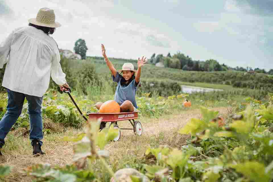 Joyful Pumpkin Patch Adventure Joyful Pumpkin Patch Adventure