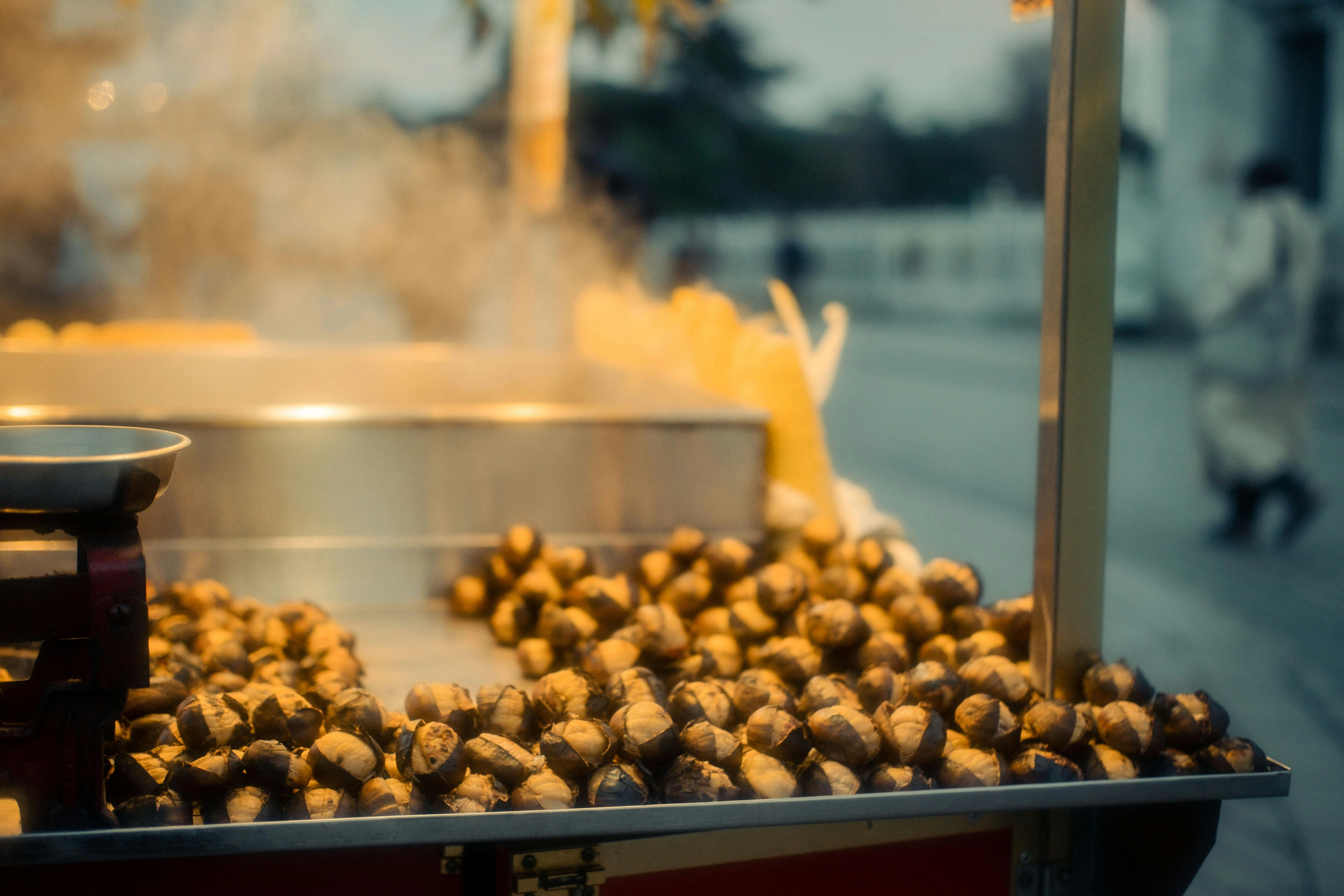 Roasted Chestnuts Street Vendor