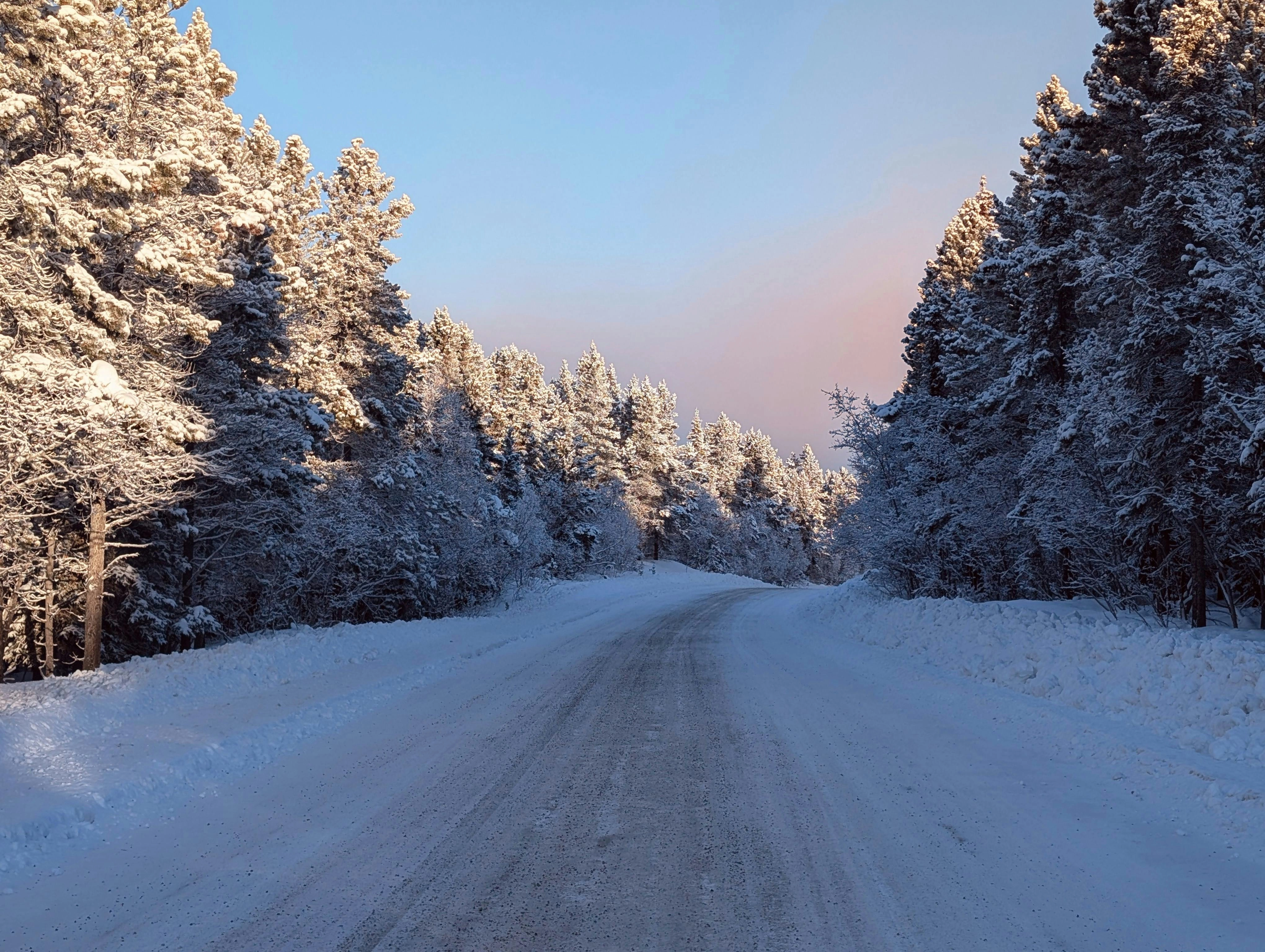 Snowy Forest Road Twilight Snowy Forest Road Twilight