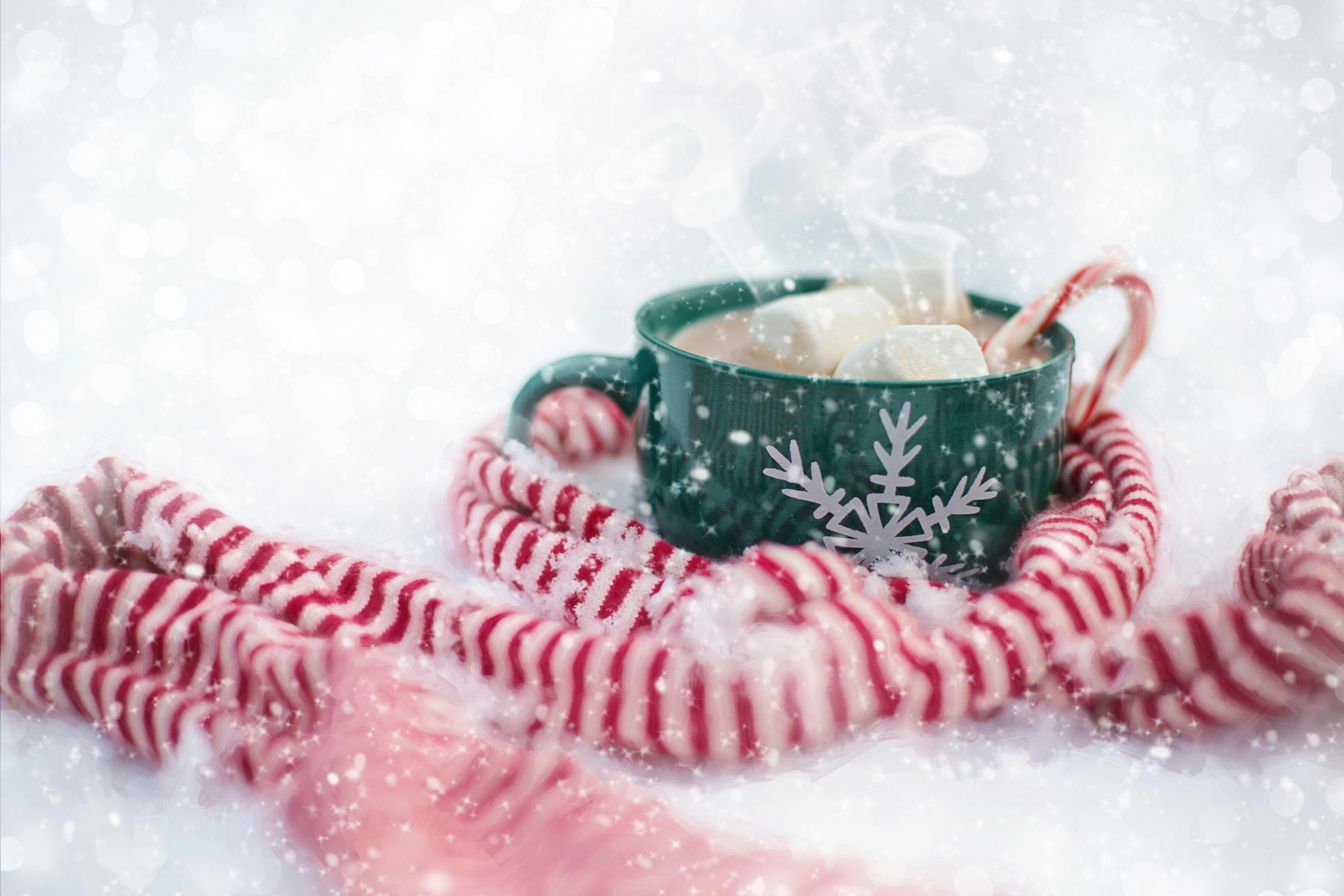 Cozy Holiday Hot Chocolate Cozy Holiday Hot Chocolate
