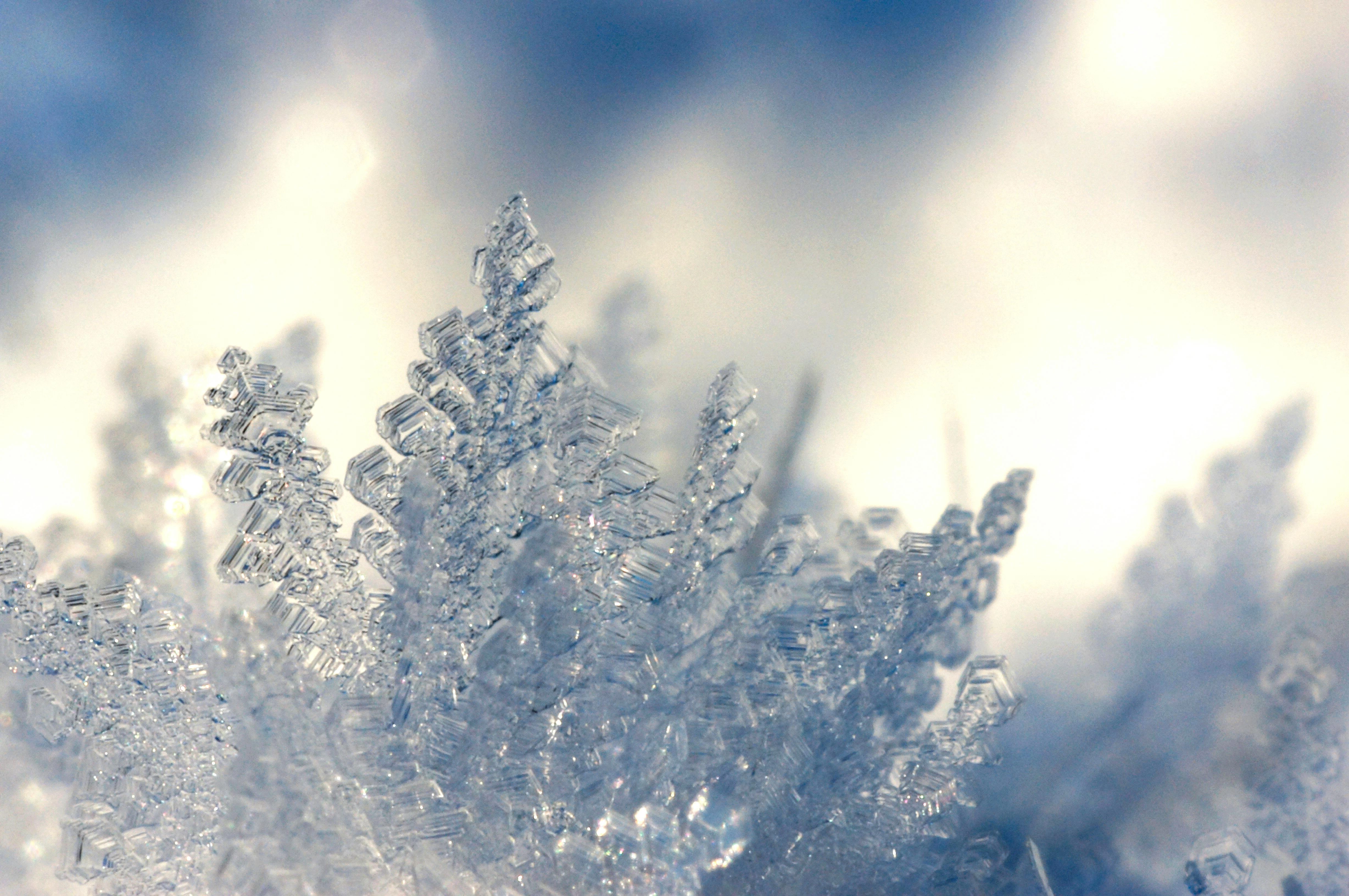 Crystalline Ice Frost Formations Crystalline Ice Frost Formations