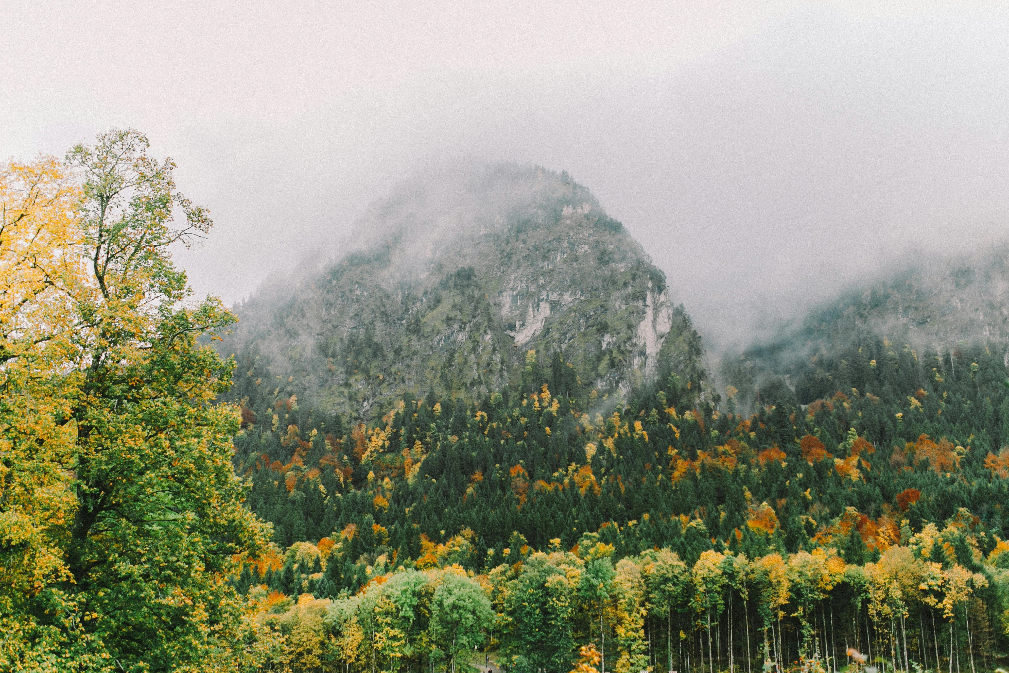Misty Mountain Autumn Landscape Misty Mountain Autumn Landscape