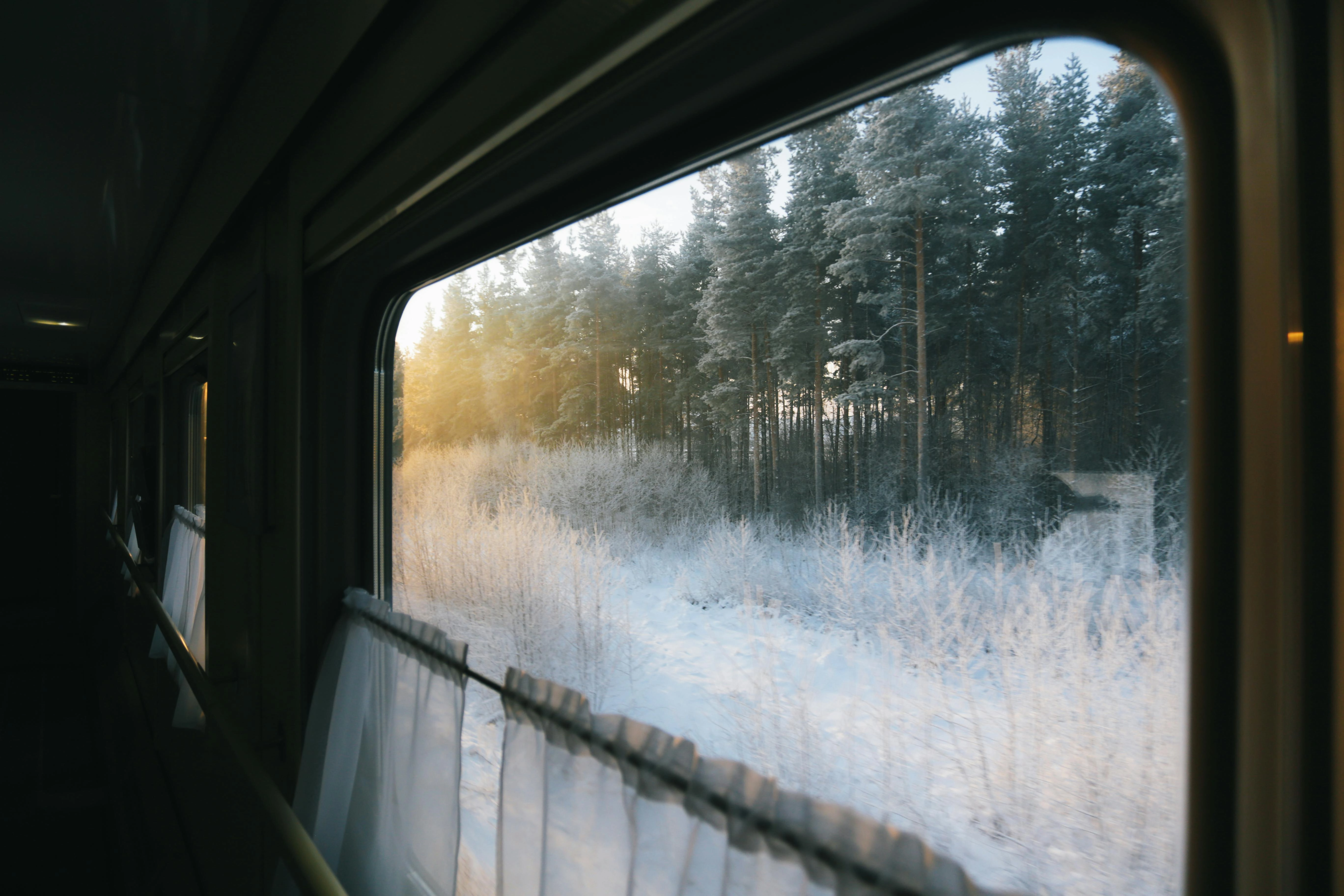 Snowy Forest Train Journey