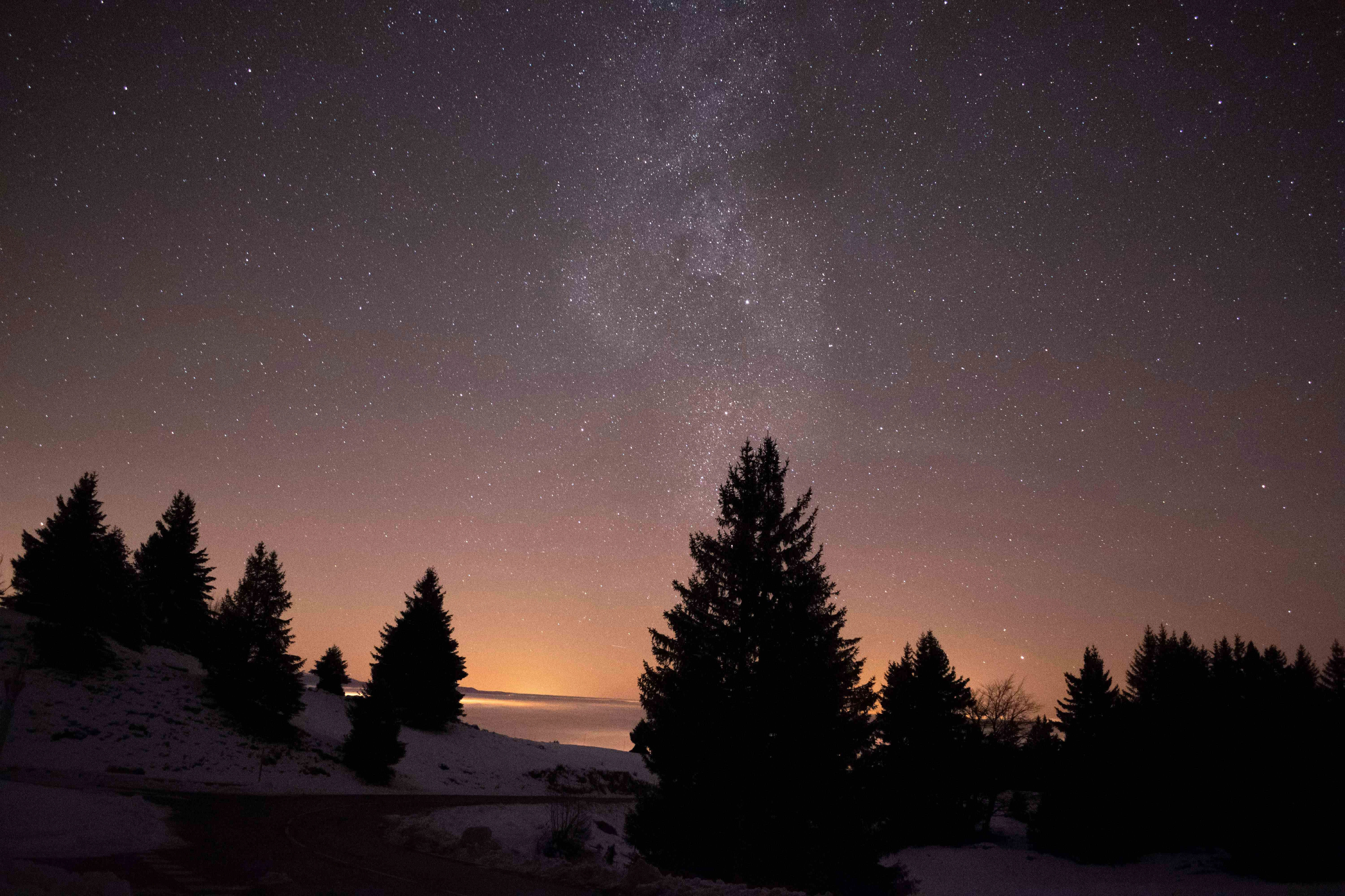 Starry Night Forest Silhouette Starry Night Forest Silhouette