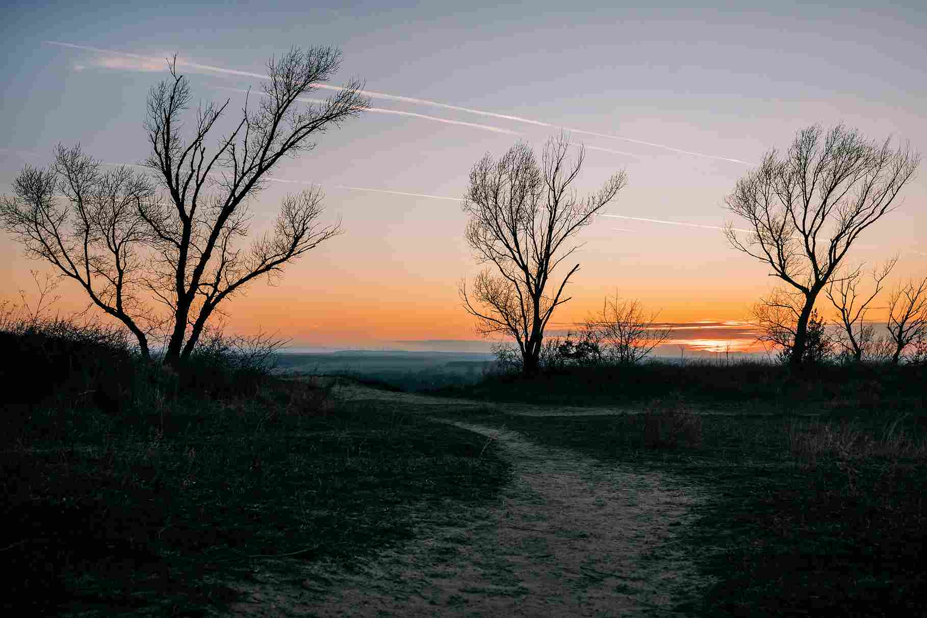 Sunset Path Color Palette, Combinations & Schemes | Octet Design Labs