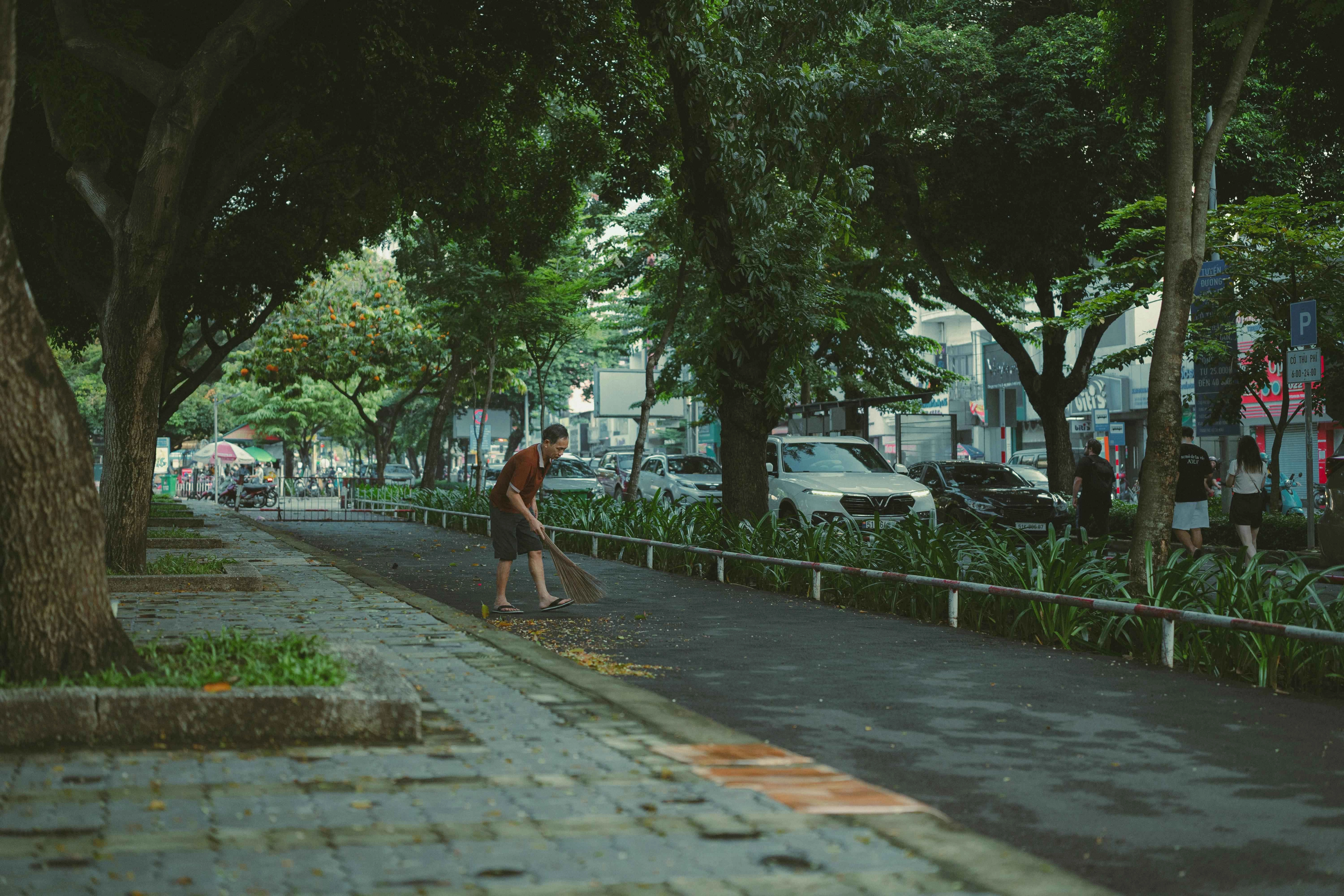 Urban Serenity Amidst Greenery