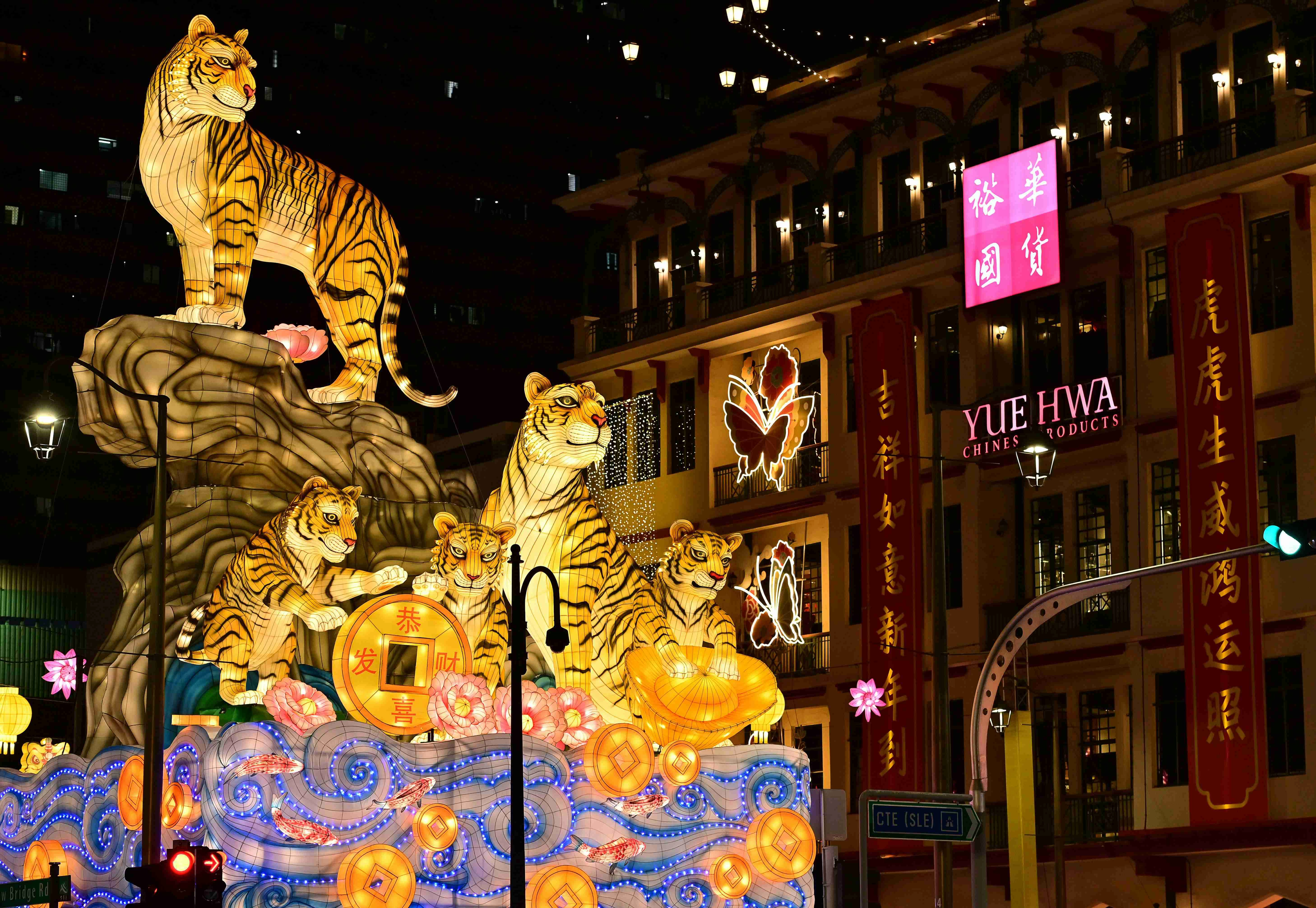 Chinese New Year Tiger Display