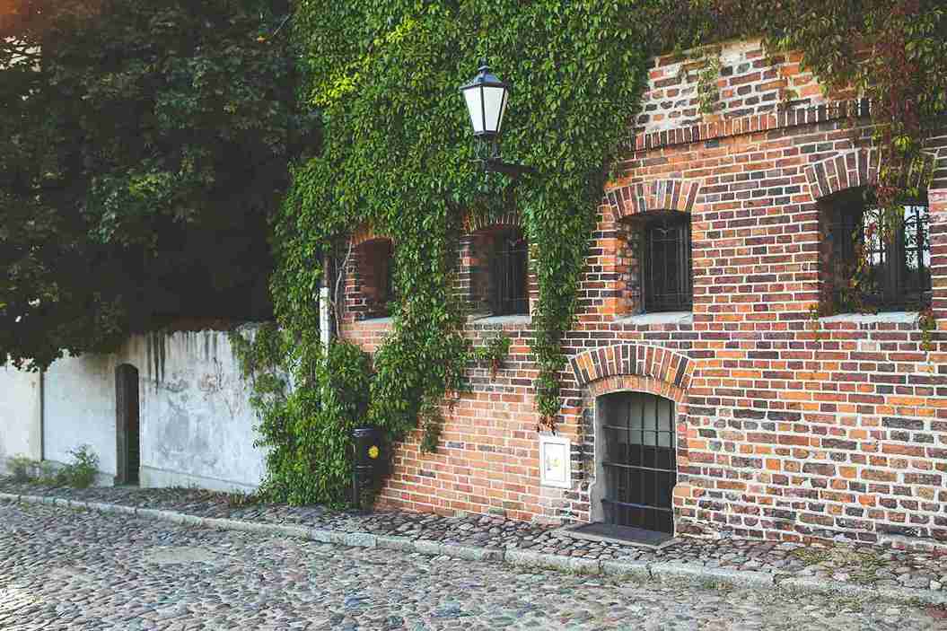 Ivy-covered Historic Brick Building