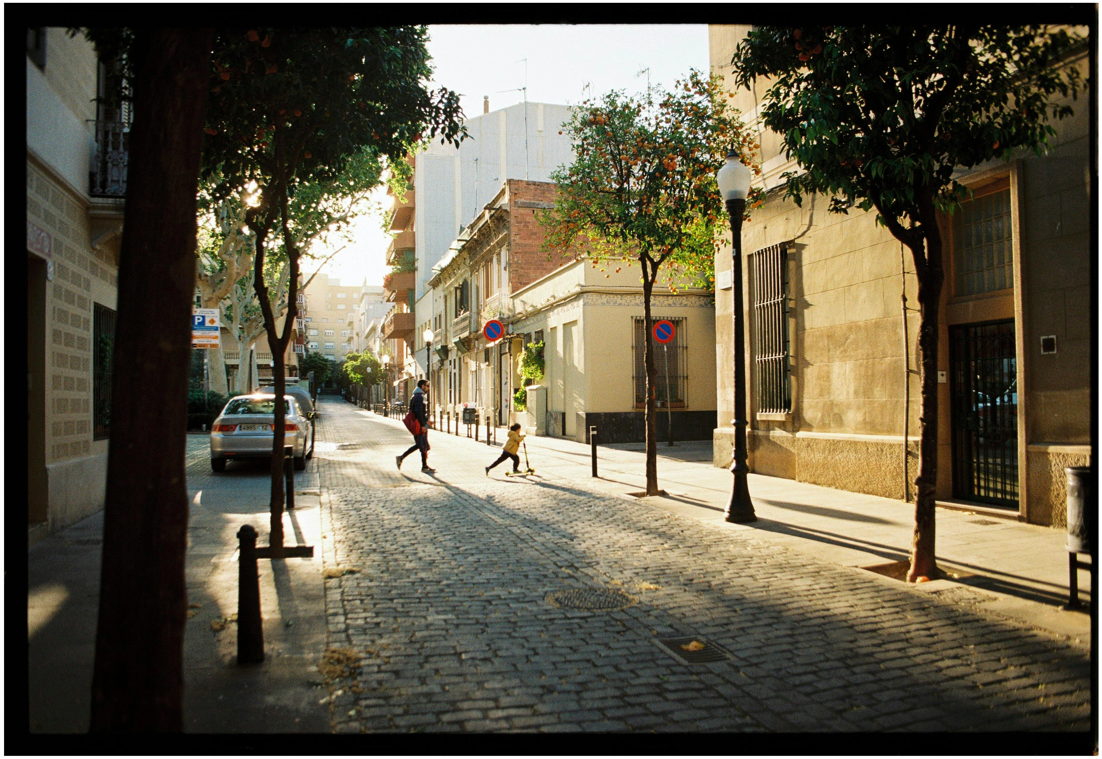 Sunlit European Cobblestone Street