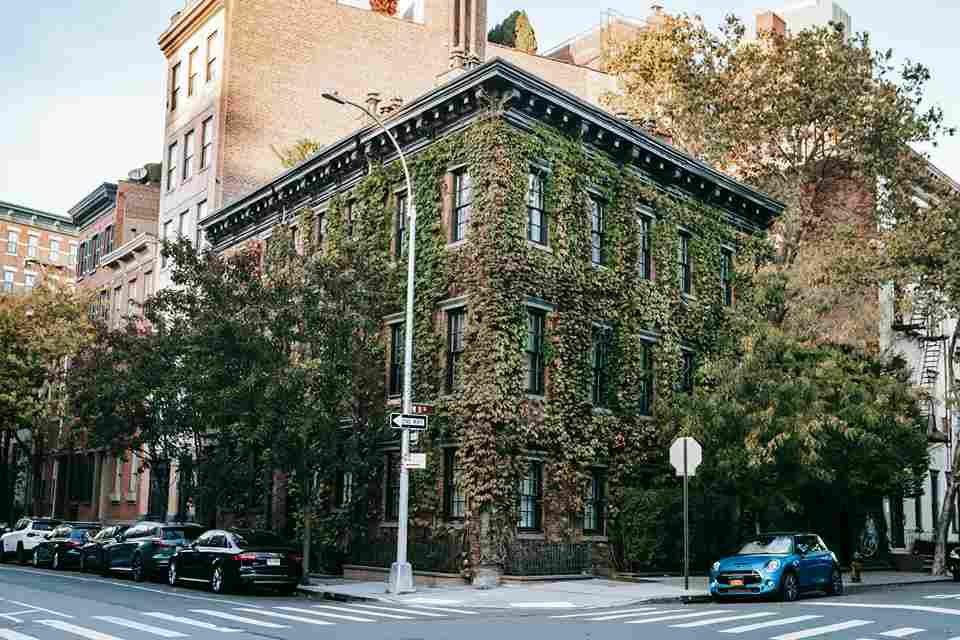 Ivy-covered Building in City