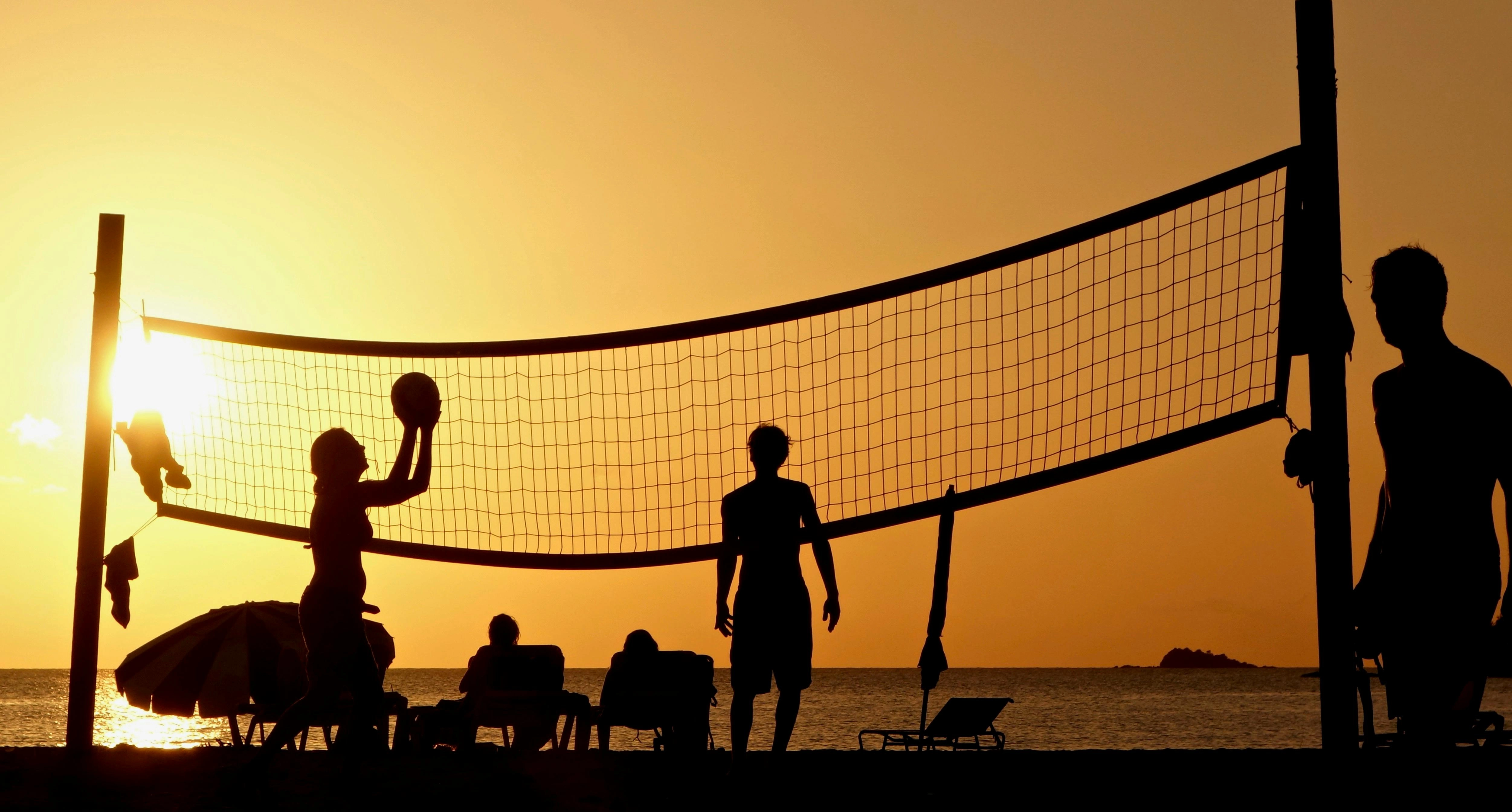 Beach Volleyball Color Palette, Combinations & Schemes | Octet Design Labs