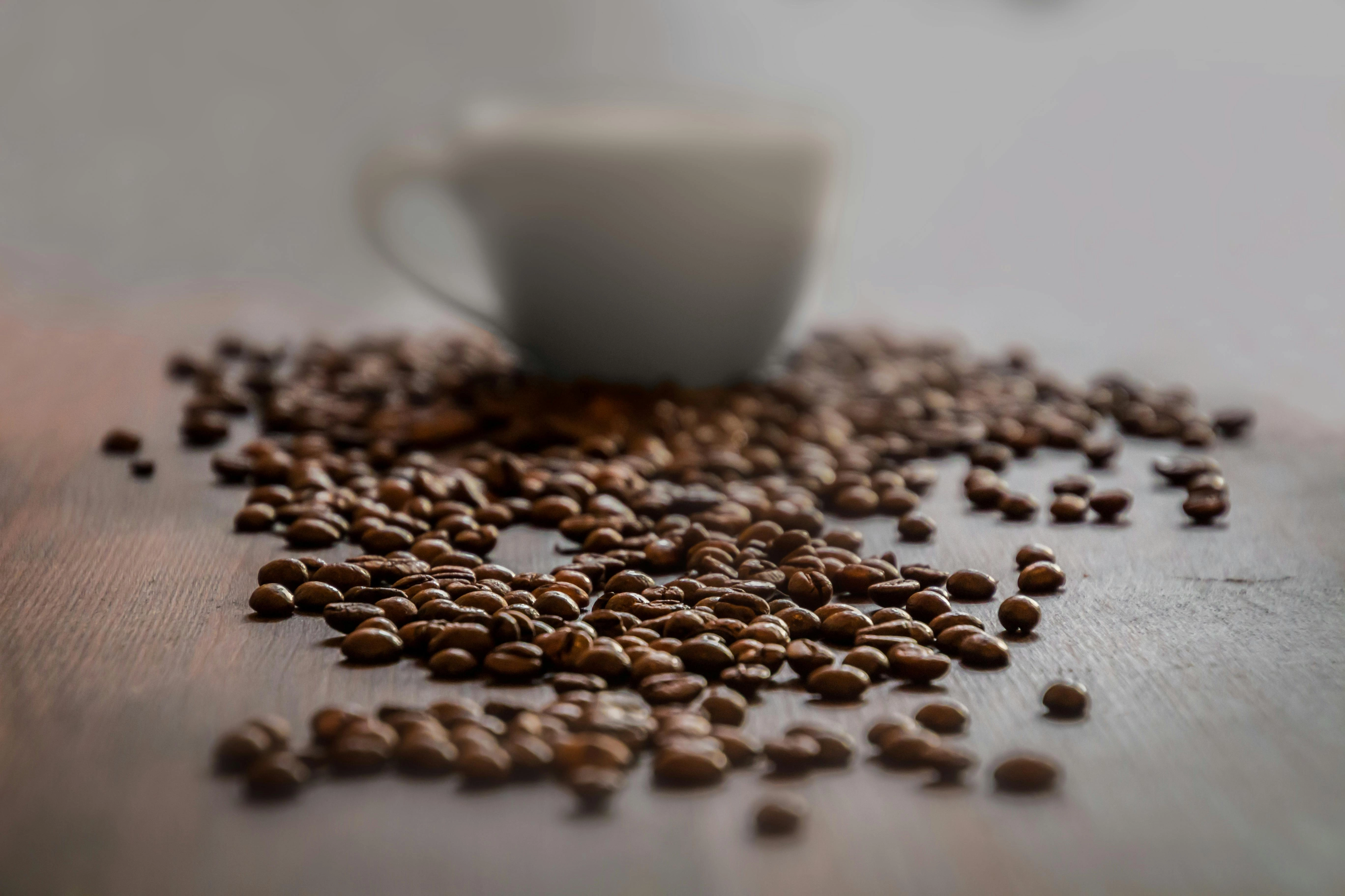 Coffee Beans and Cup Coffee Beans and Cup