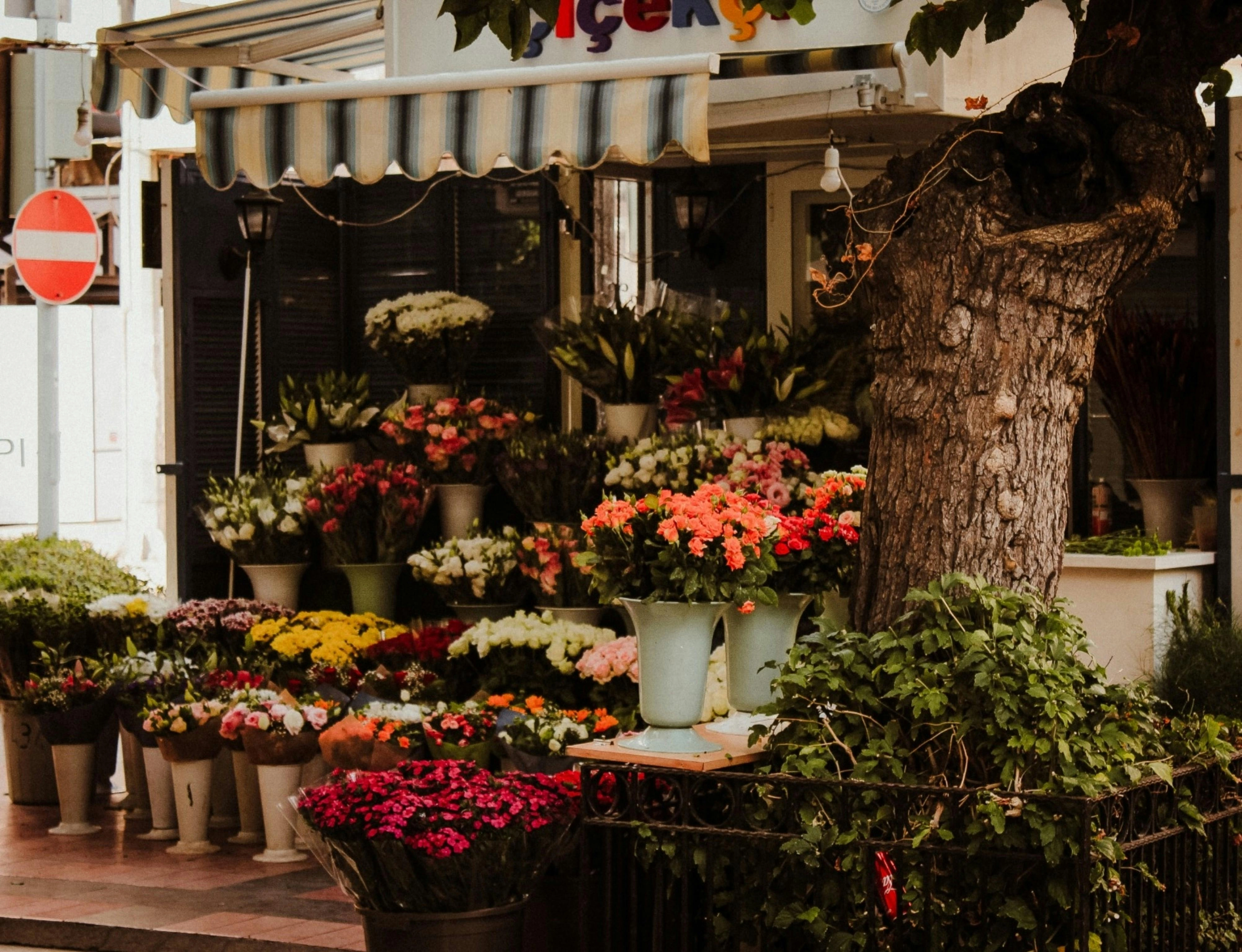 Colorful Flower Shop Display Colorful Flower Shop Display