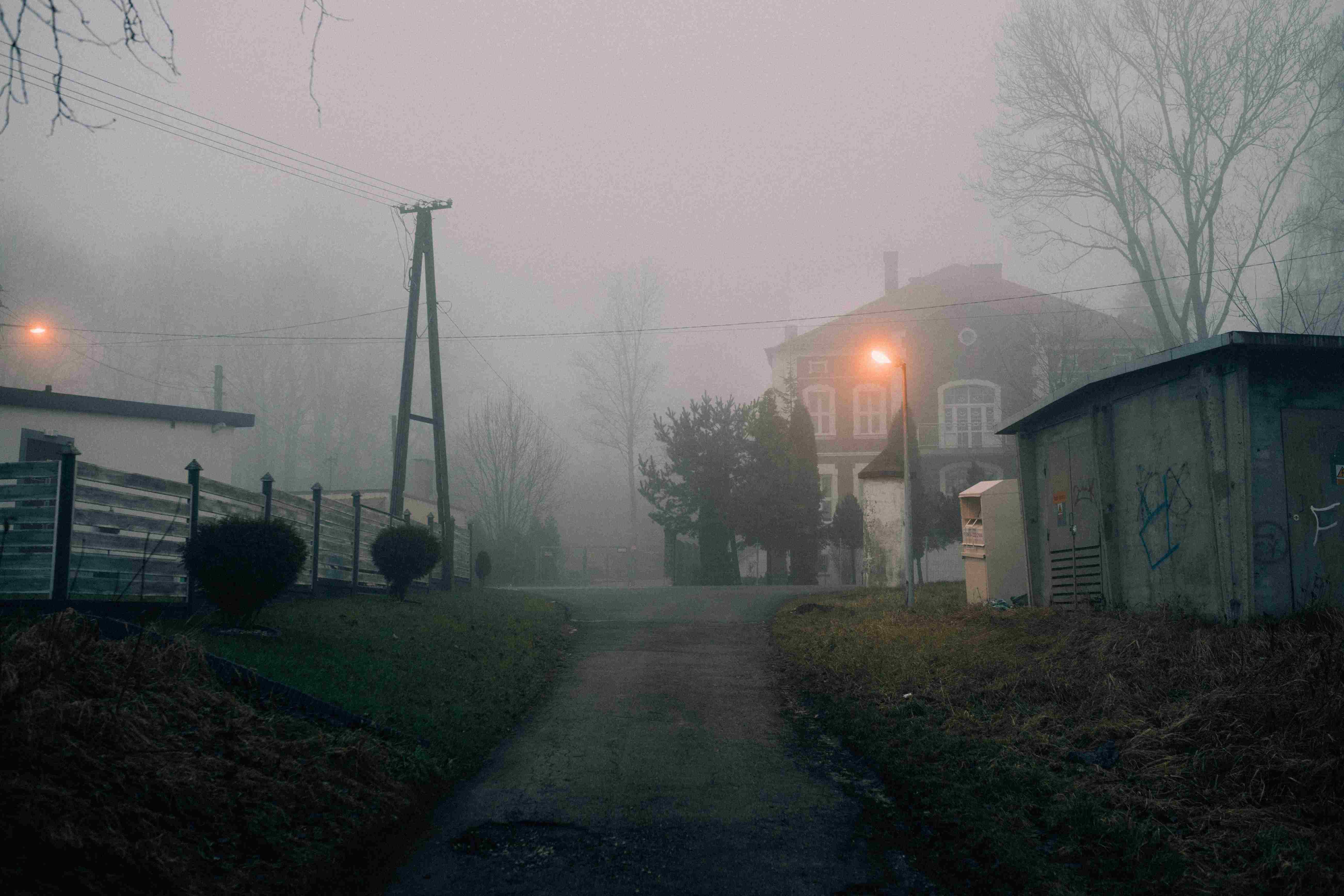 Foggy suburban street at dusk Foggy suburban street at dusk