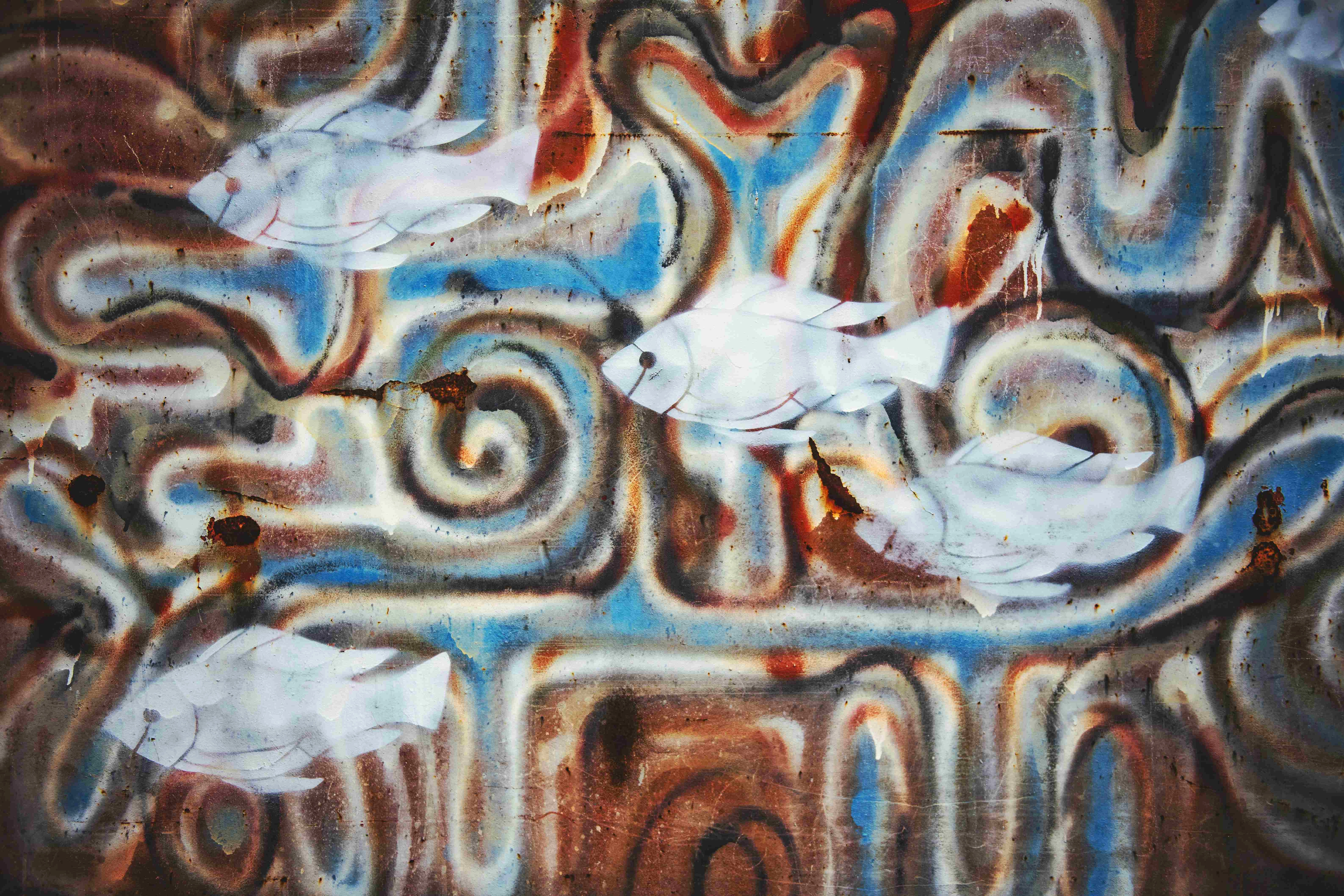 Graffiti Fish Urban Swirls Graffiti Fish Urban Swirls