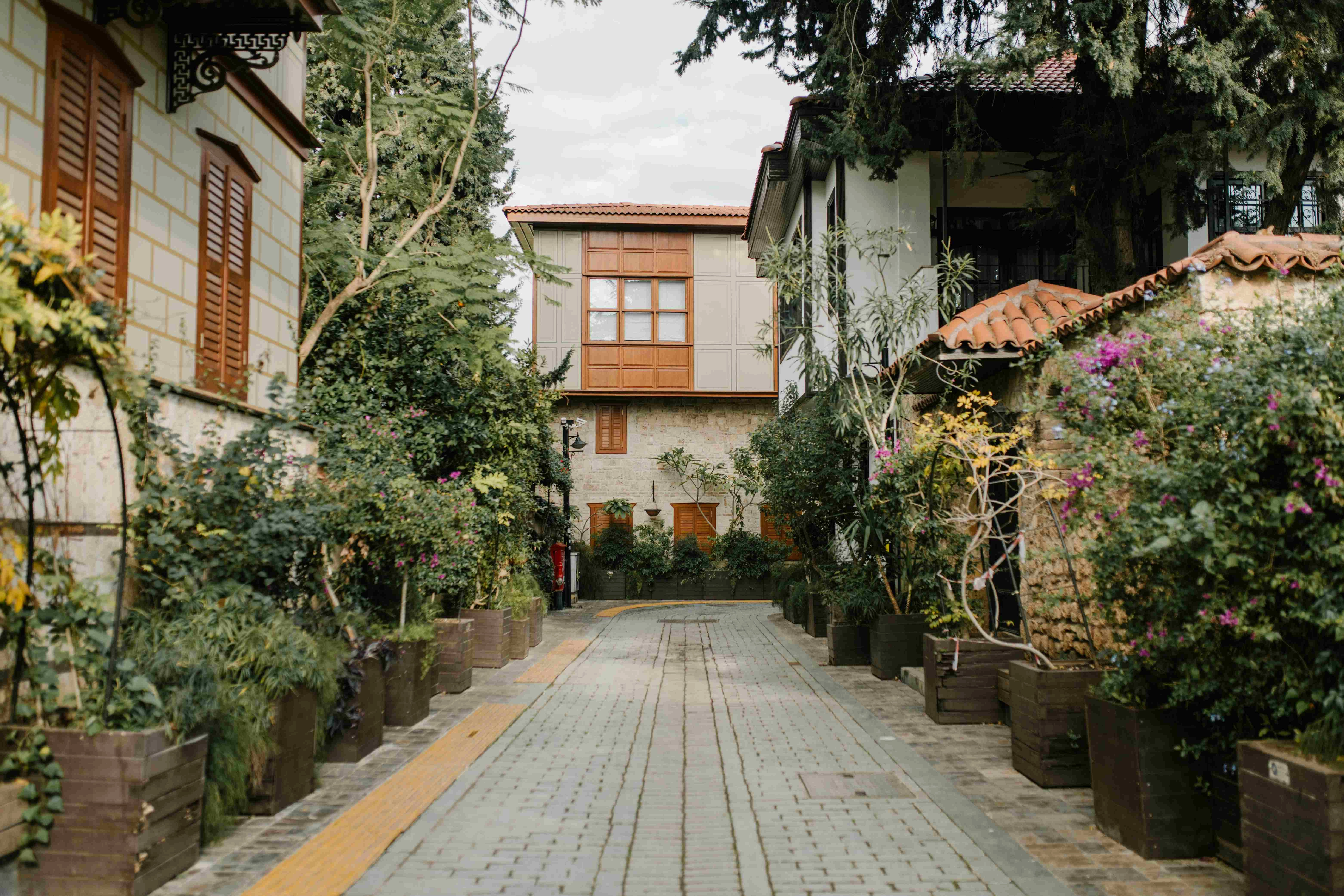 Lush Mediterranean Courtyard Retreat Lush Mediterranean Courtyard Retreat